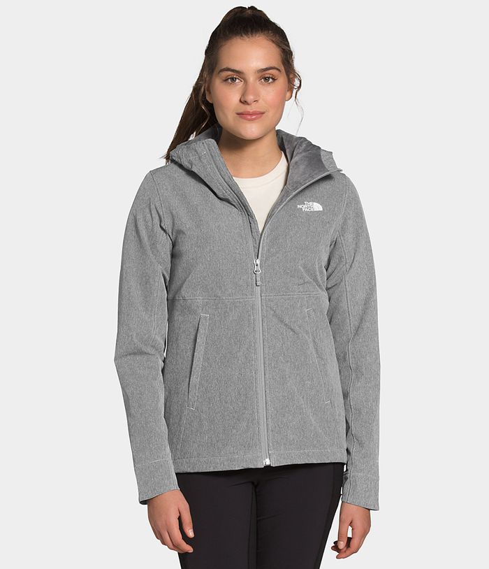 Chaqueta Softshell The North Face Mujer Gris Shelbe Raschel Sudadera Con Capucha 31756PYNW